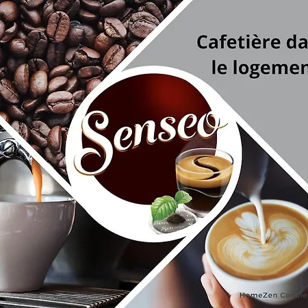 Le Saint Louis - Appt Wifi Centre Apartment Le Puy-en-Velay
